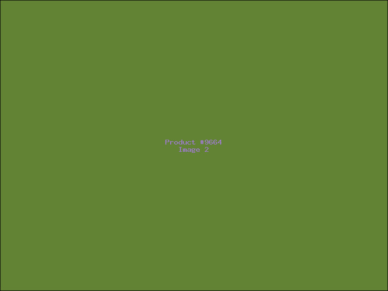 Example Product 9664 - Image 2