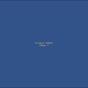 Example Product 9669