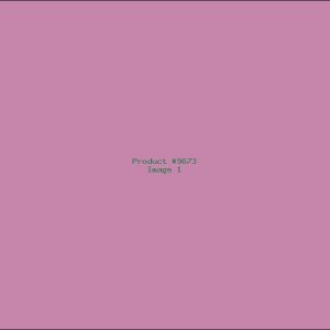 Example Product 9673