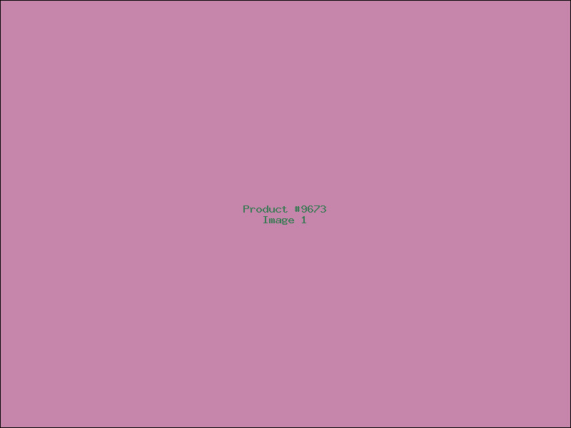 Example Product 9673
