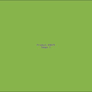 Example Product 9679
