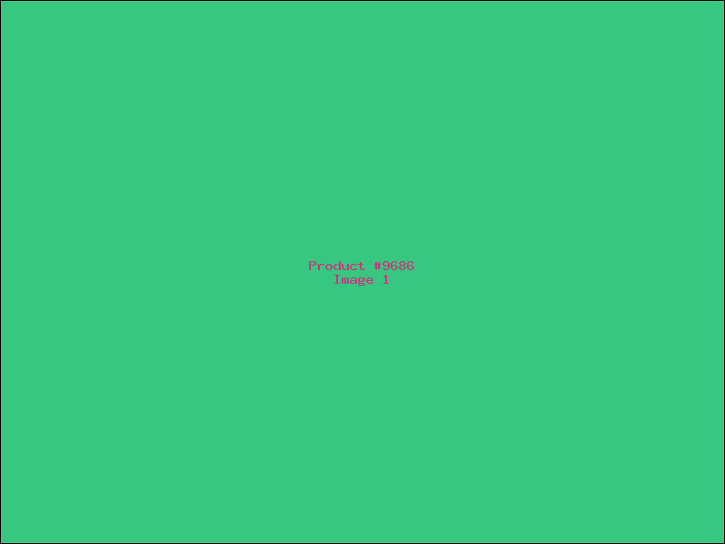 Example Product 9686