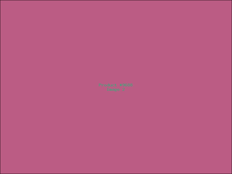 Example Product 9688 - Image 2