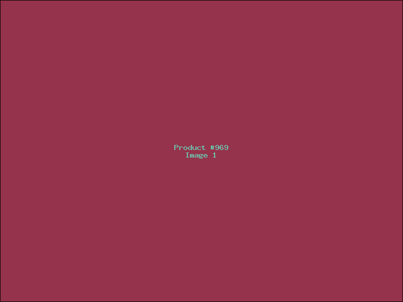 Example Product 969