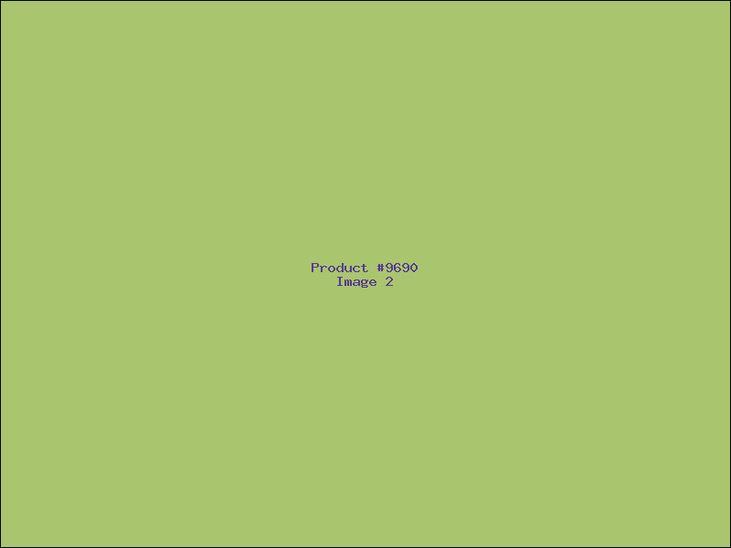 Example Product 9690 - Image 2