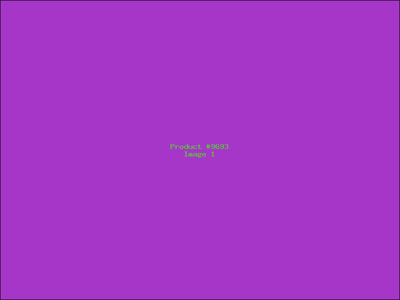 Example Product 9693