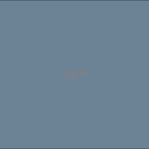 Example Product 9695