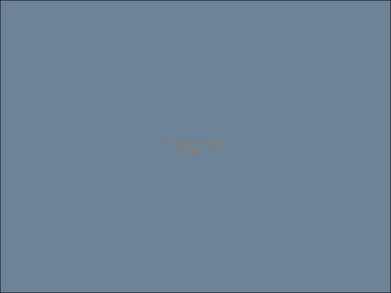 Example Product 9695