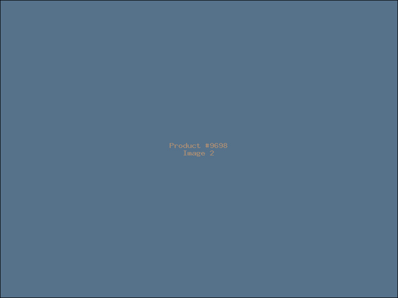 Example Product 9698 - Image 2