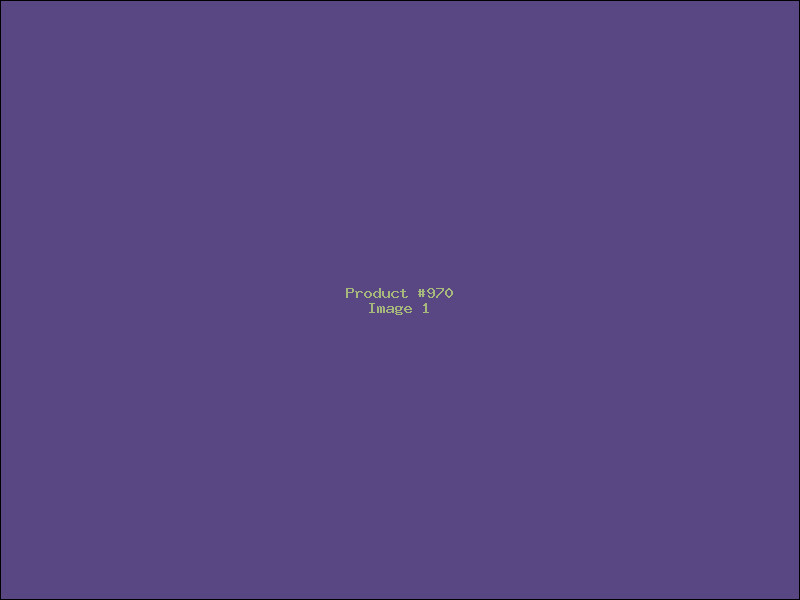 Example Product 970