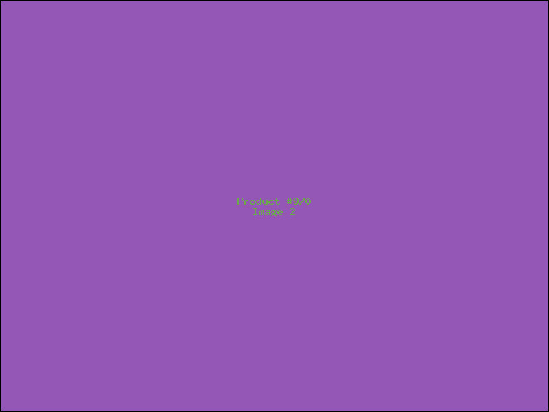 Example Product 970 - Image 2