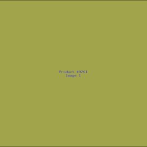Example Product 9701