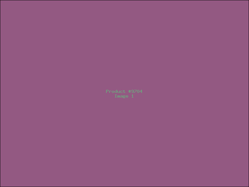 Example Product 9704