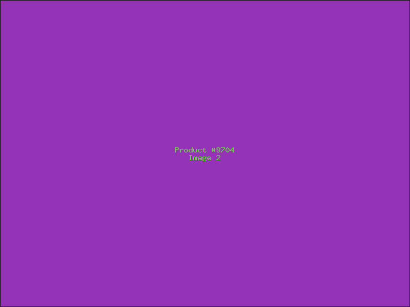 Example Product 9704 - Image 2
