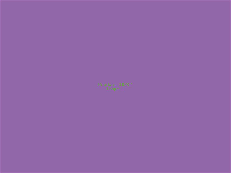 Example Product 9707