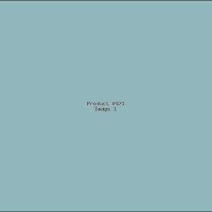 Example Product 971