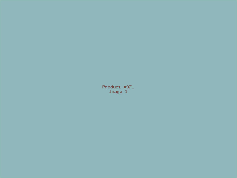 Example Product 971