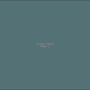 Example Product 9710