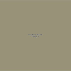 Example Product 9716