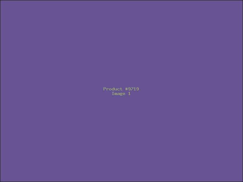 Example Product 9719