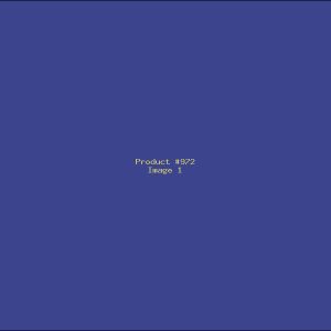 Example Product 972