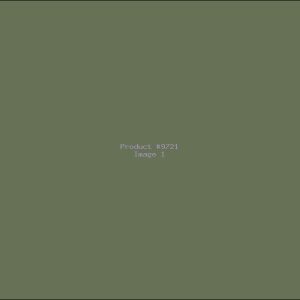 Example Product 9721