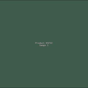 Example Product 9722
