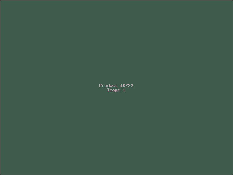 Example Product 9722