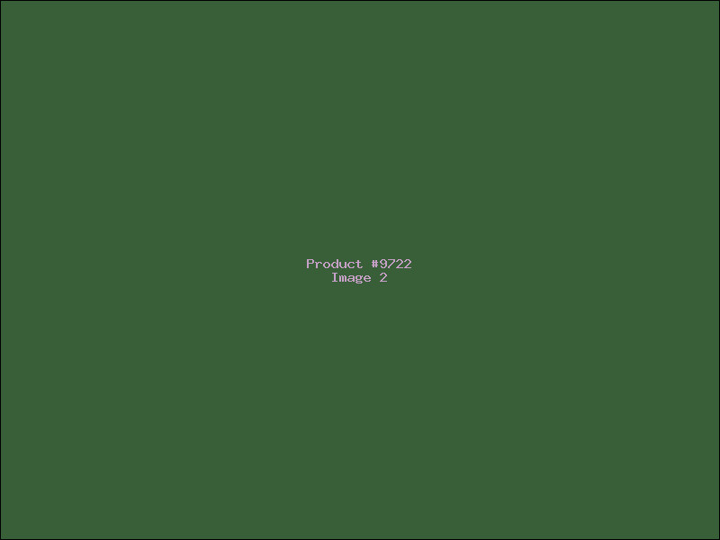 Example Product 9722 - Image 2