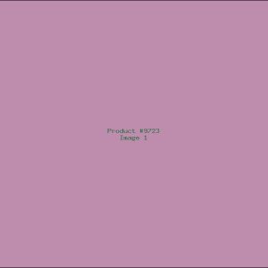 Example Product 9723