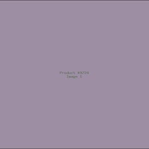 Example Product 9724