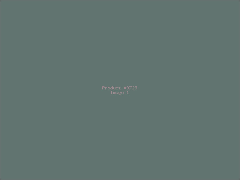 Example Product 9725