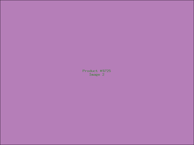 Example Product 9725 - Image 2