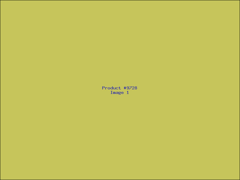 Example Product 9728
