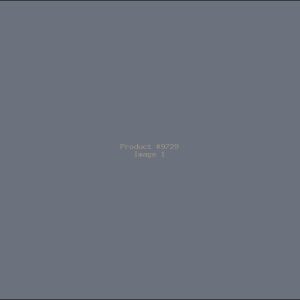 Example Product 9729