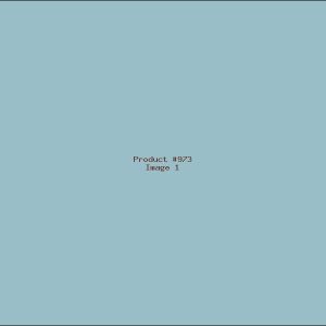 Example Product 973