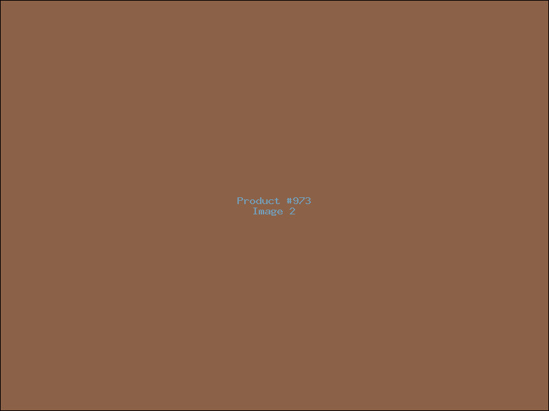 Example Product 973 - Image 2