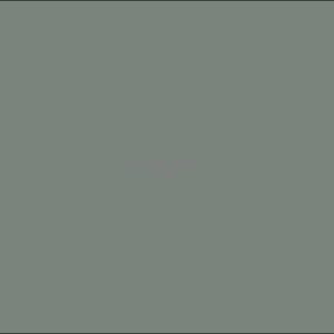 Example Product 9730