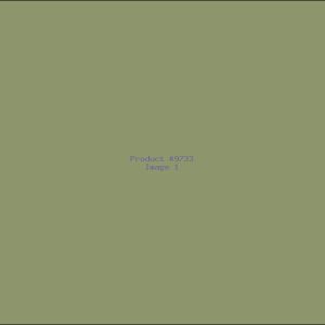 Example Product 9733