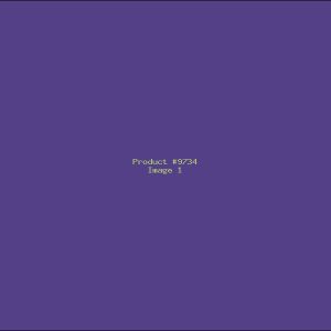 Example Product 9734