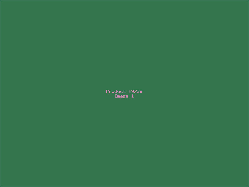 Example Product 9738