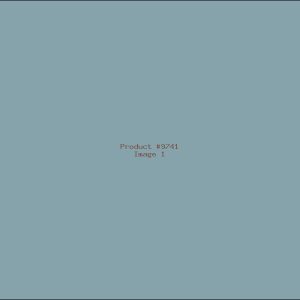 Example Product 9741