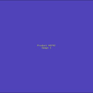 Example Product 9742