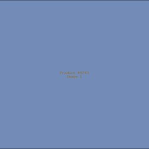 Example Product 9743