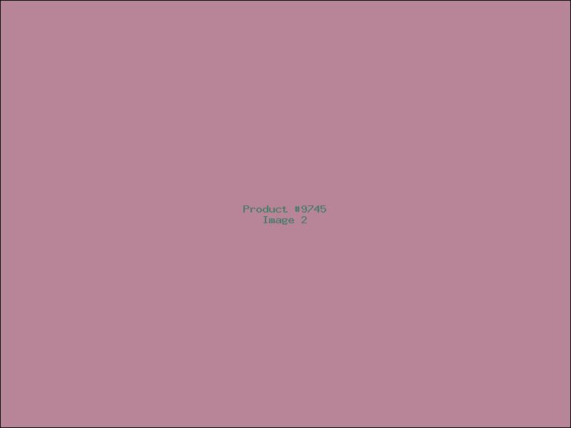 Example Product 9745 - Image 2