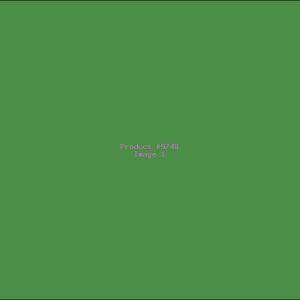 Example Product 9748