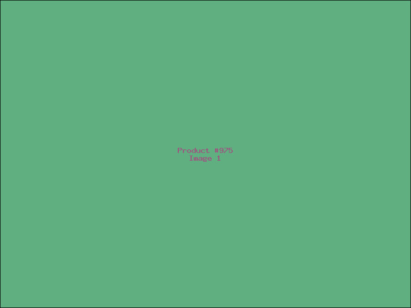 Example Product 975