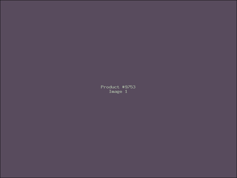 Example Product 9753