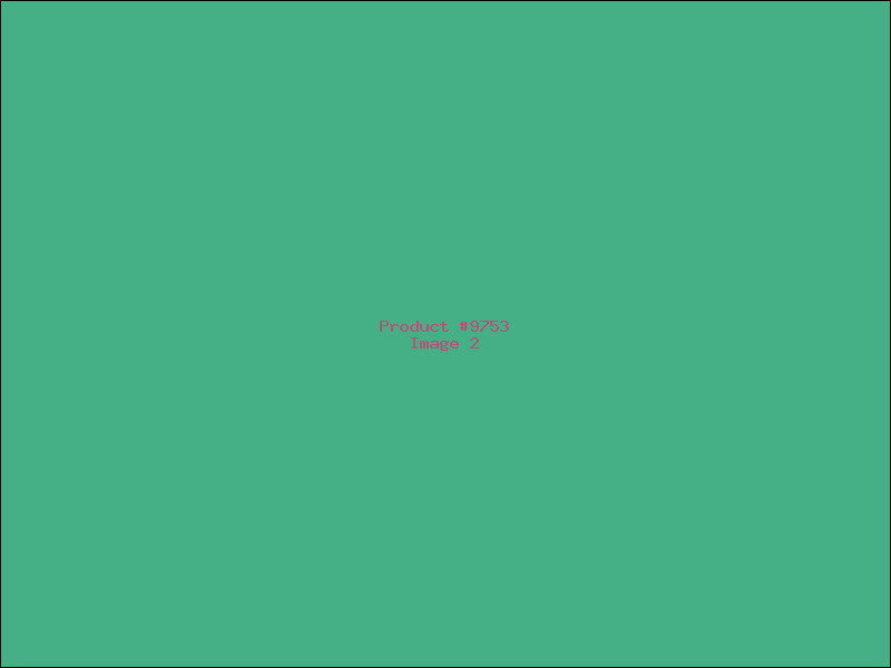 Example Product 9753 - Image 2