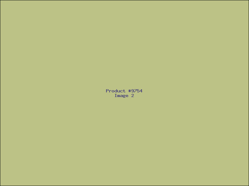 Example Product 9754 - Image 2